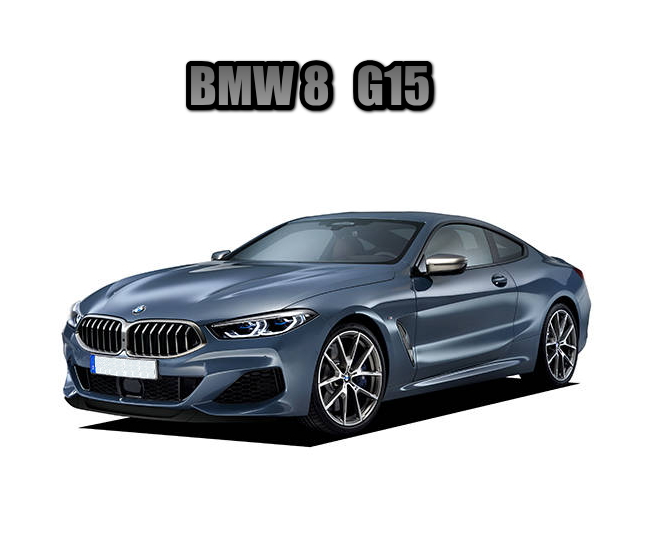 BMW 8シリーズ ２ドアグランクーペ G15型 専用エンジンスターター